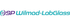 Labglass