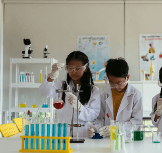 Ads placement on our website