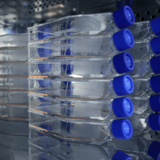 Lab Equipment for Stem Cell & Tissue Storage Companies