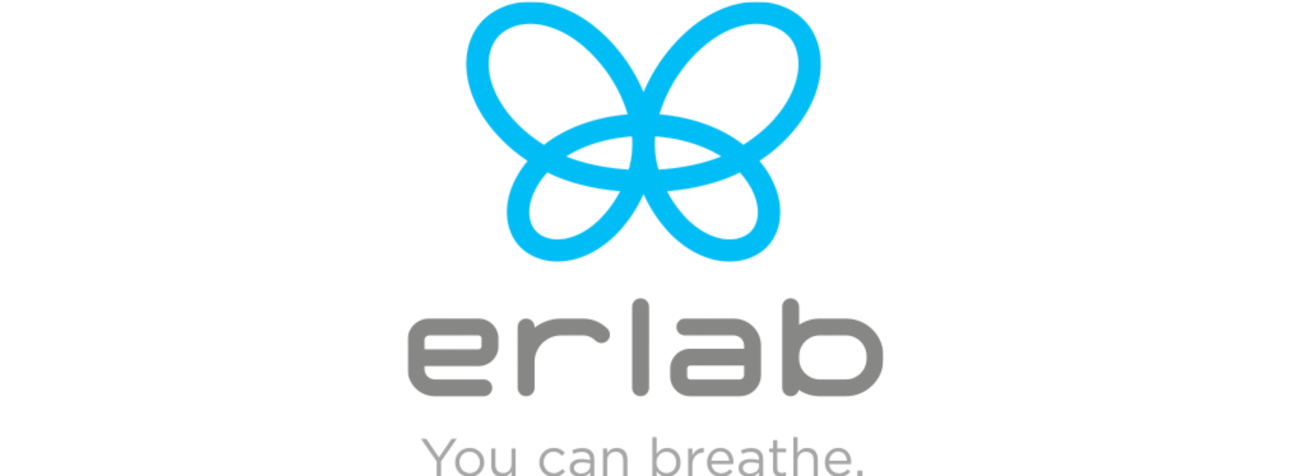 Erlab Inc